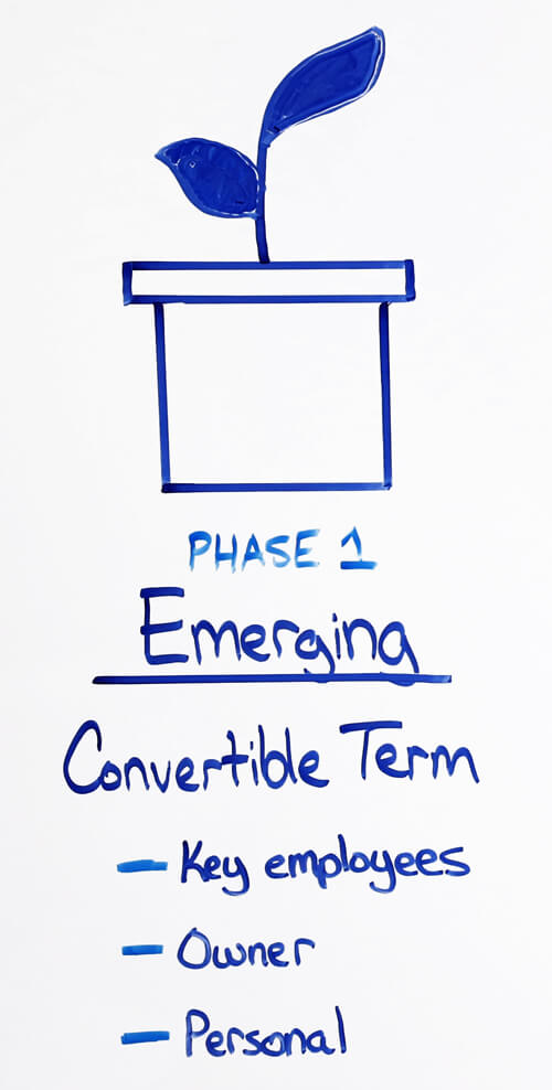 phase 1 emerging convertible term insurance